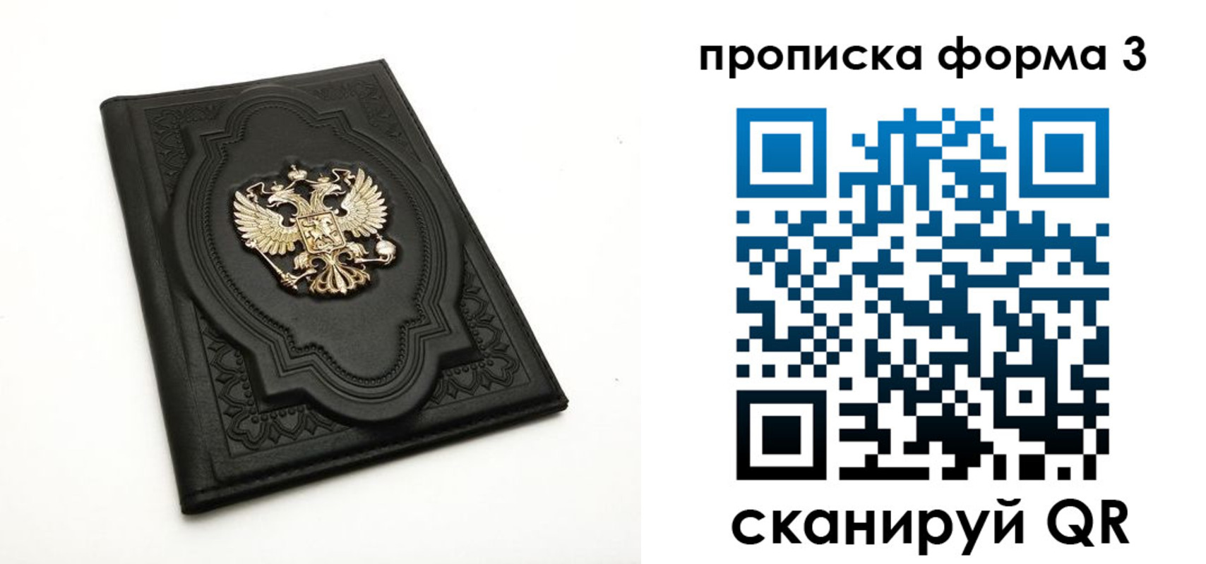прописка в Вологде